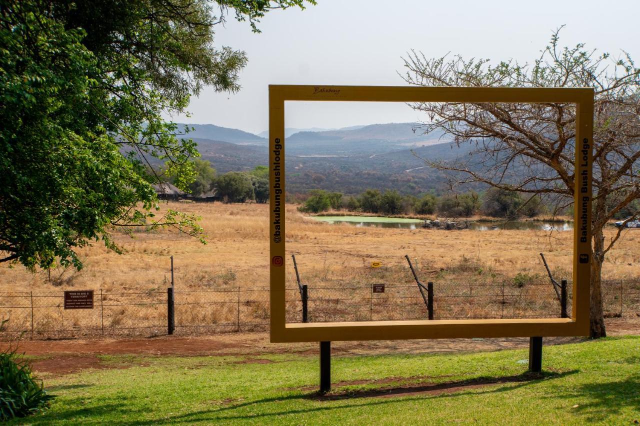 Bakubung Bush Lodge Ledig Eksteriør billede