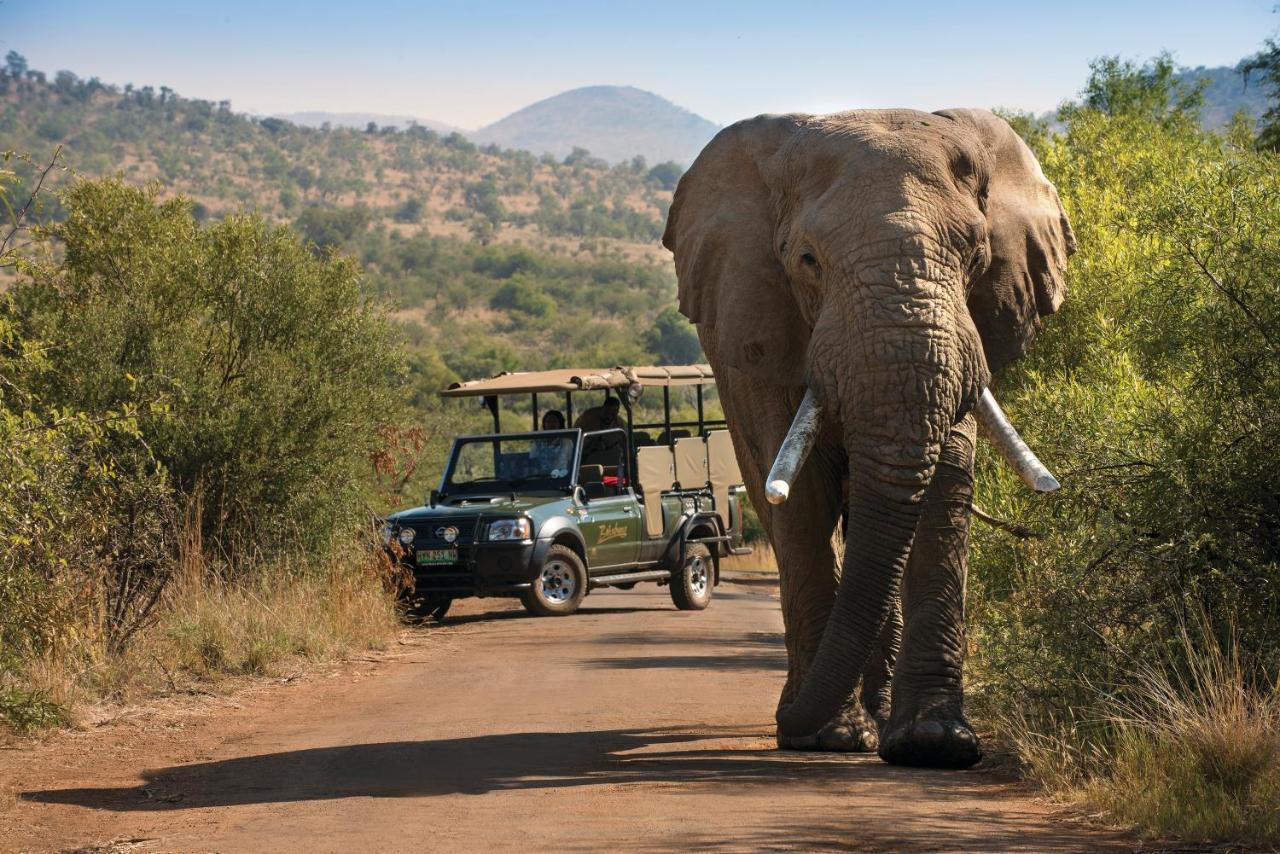 Bakubung Bush Lodge Ledig Eksteriør billede