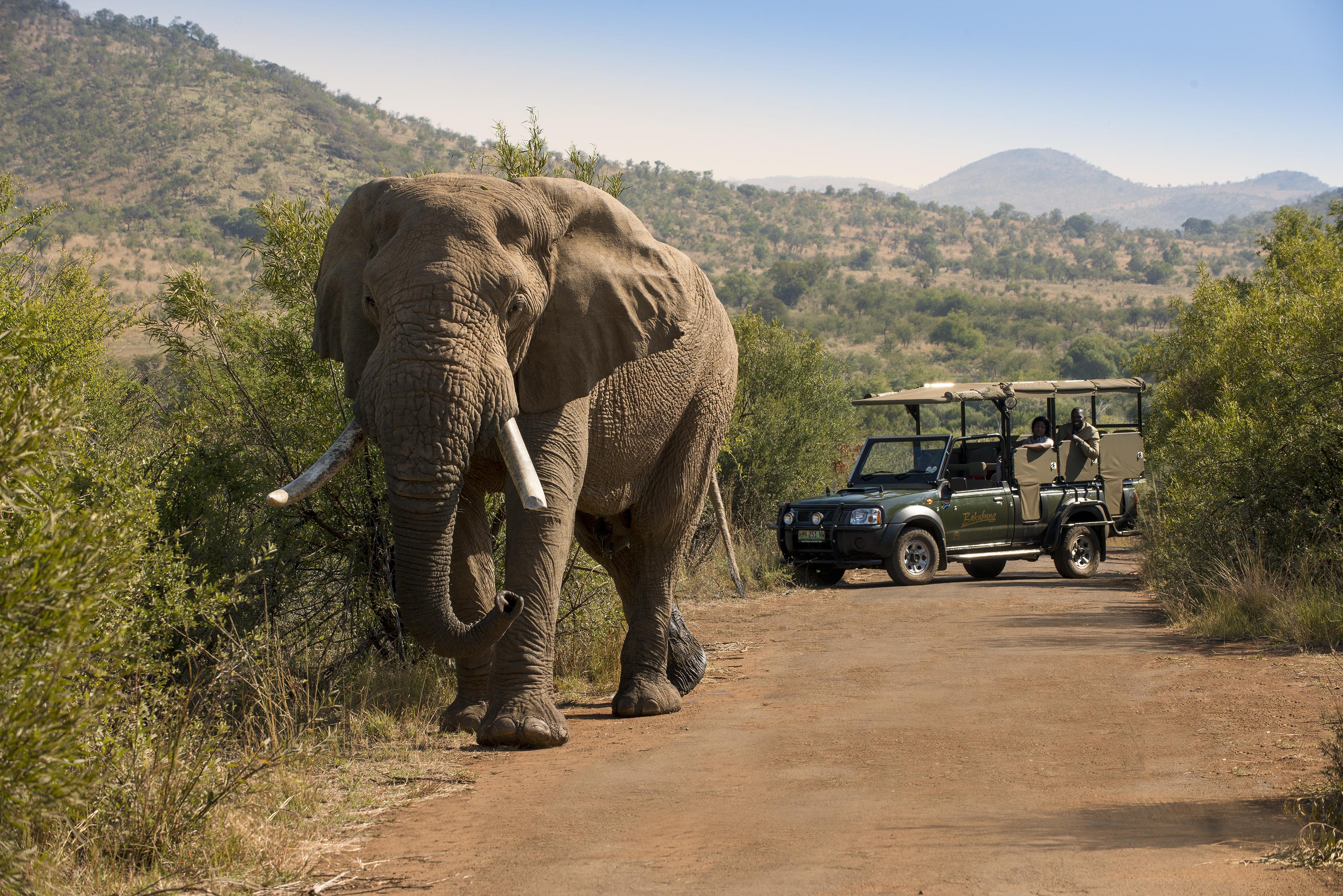 Bakubung Bush Lodge Ledig Eksteriør billede