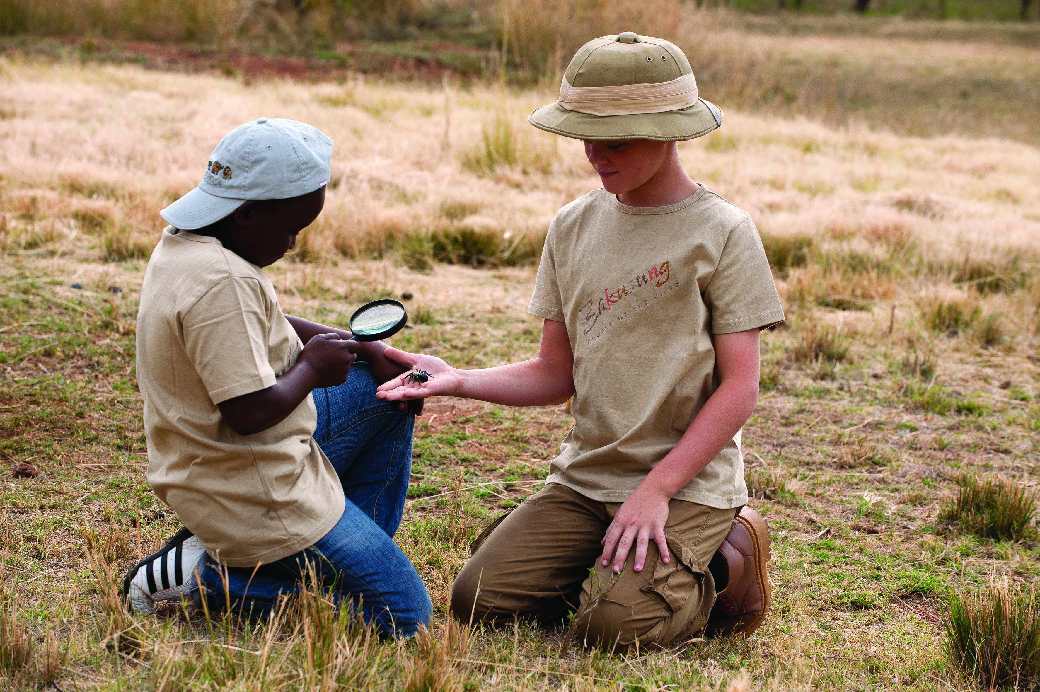 Bakubung Bush Lodge Ledig Eksteriør billede