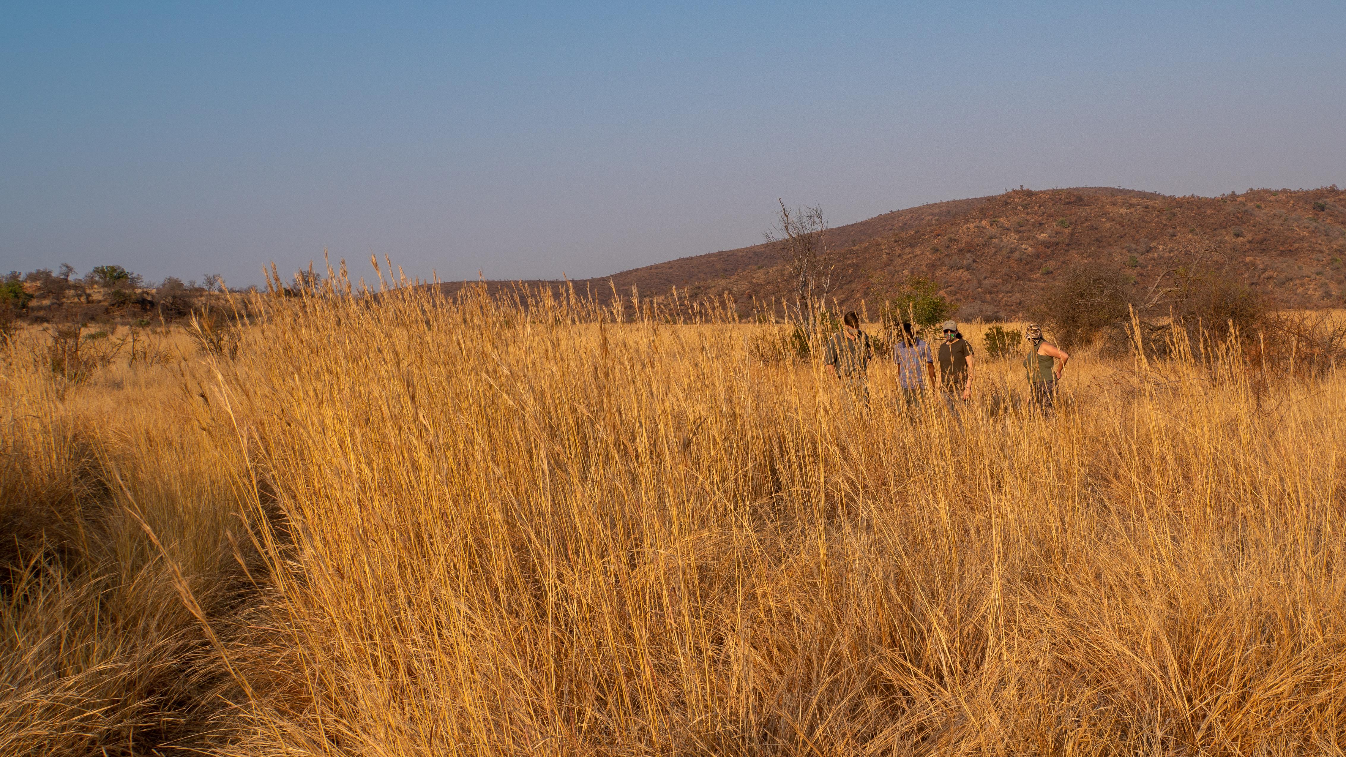 Bakubung Bush Lodge Ledig Eksteriør billede