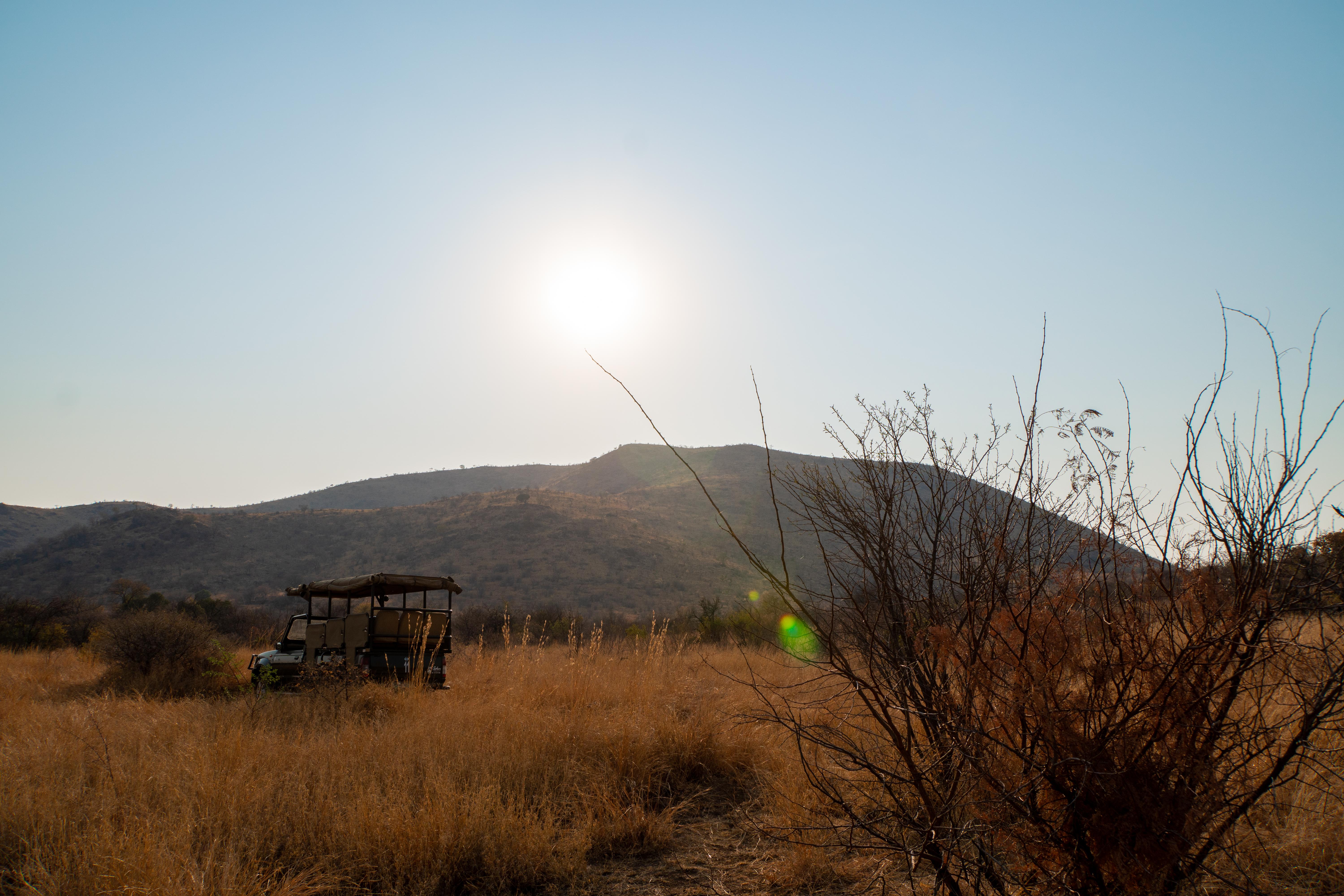 Bakubung Bush Lodge Ledig Eksteriør billede