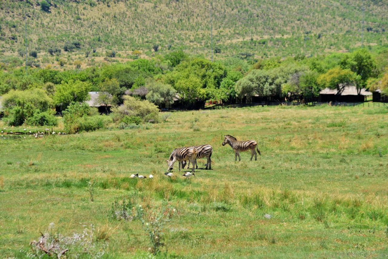 Bakubung Bush Lodge Ledig Eksteriør billede